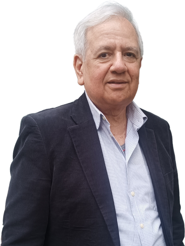 Ing. Felipe Roel Montellanos